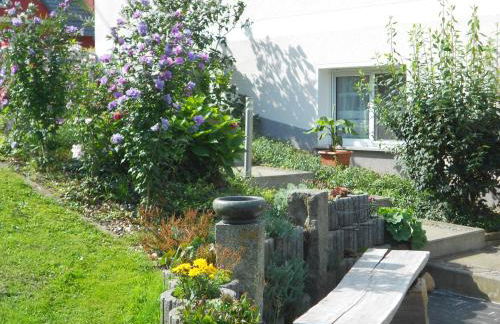 Crosta Brava - Foto 6