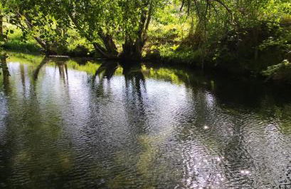 ABRIGO DO CABECINHO - SERRA DA ESTRELA - Foto 51