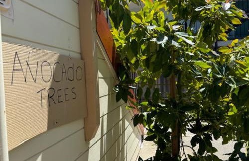 Alameda 3BR luxury Penthouse 2 blocks to downtown 3 blocks to the beach AC and 2 free parking spaces - Foto 36