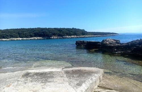 Apartman Dora - Foto 32