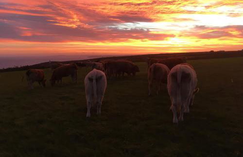 The Stable - Near St Ives Beaches Dog Friendly - Foto 66