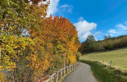 Fewo Allezeit Sauerland - Foto 6