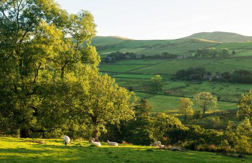 Willow Cottage At Naze Farm-Uk32760 - Foto 17