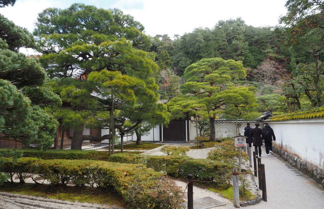 Kyoto Bike Tour - Photo 5