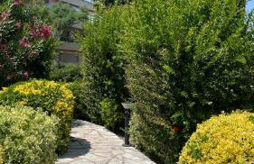 Charmant appartement plein centre - Photo 11