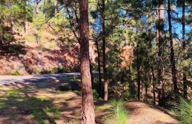 Apartamento Atlantico - Foto 76