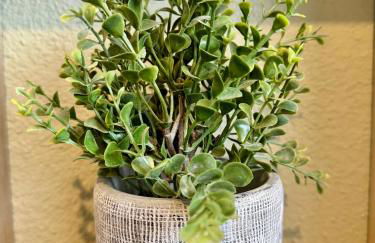 Le Petit Noblet, Cesson Sévigné - Foto 19