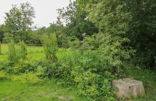 Field View - Foto 25