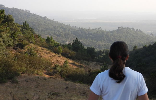 Madressilva house - Foto 15