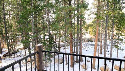 Forest Creek 3 Pet accepted - Foto 4, Other