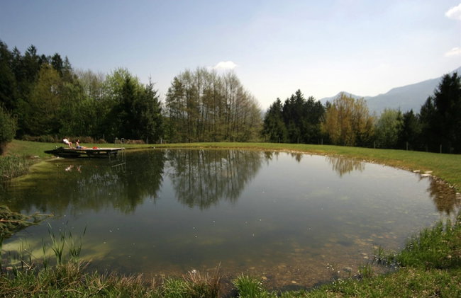 Apartment in Bleiburg Near Petzen Ski Area - Foto 35