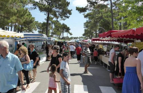 La Palmyre - PETITE VILLA MITOYENNE -PISCINE COLLECTIVE- PROCHE CENTRE - Foto 17