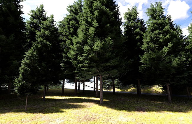 Holiday Home Villa Mavi - Foto 44