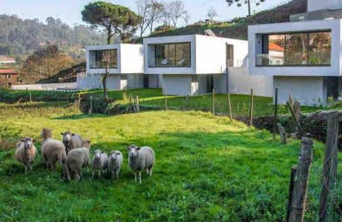 Viana do Castelo - Amonde Village - Casa L - Disfrute da Natureza - Foto 50