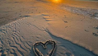 Langeoog-Villa Apollonia - Foto 4