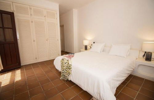 Flor de Cactus, La Graciosa - Foto 39