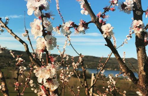 Cascina Coste - Foto 28