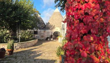 TRULLI ALLEGRETTI - Foto 4