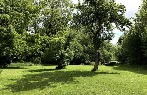 Grande Maison de Famille 15 pers Jardin clos Proche Saint Aubin sur Mer - Foto 16