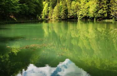 Ferienwohnung Geigelsteinblick - Photo 7