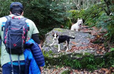 Casa Toronzue - Photo 9