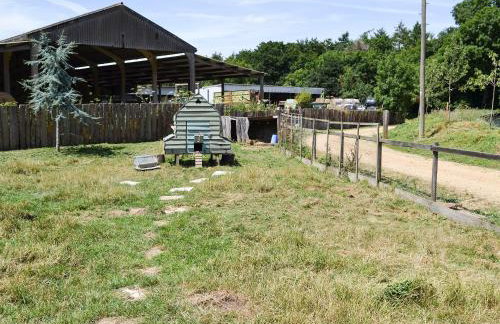 Little Barn - Ukc2539 - Foto 7