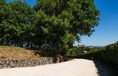 Rara Factory Design House - Foto 63