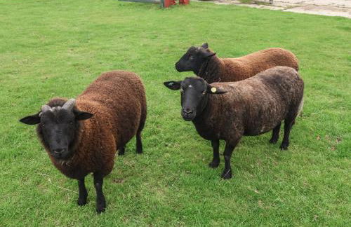 Fisherman's Rest - Foto 29