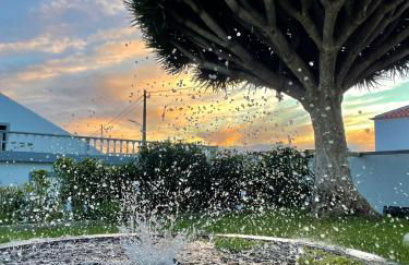 Casa Às Oito - Photo 21