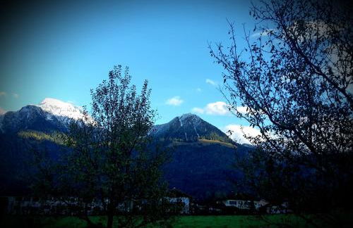 Ferienwohnung Höfler - Foto 35