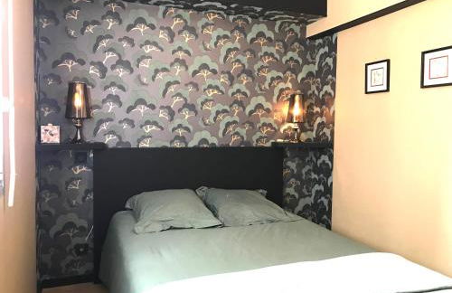 LE SORNIN - Garage - Clim - Hypercentre - Terrasse - Foto 8