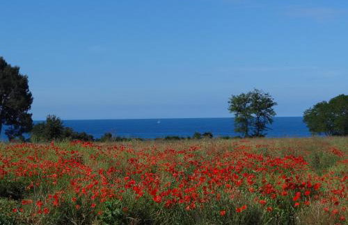 Adriatic Houses Borse - Foto 28