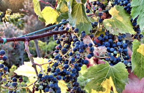 Charming studio with air conditioning in Gragnano - 35 sqm - Foto 23