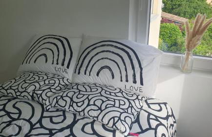 Appartement moderne Strasbourg - Foto 4