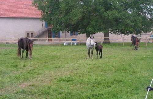 Gîte champêtre avec piscine et Wifi à Souvigny - FR-1-489-231 - Foto 15