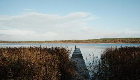 bluestar apartments am Storkower See inkl Badesteg und Gartensauna - Foto 2