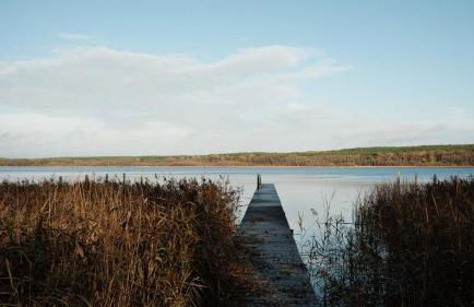 bluestar apartments am Storkower See inkl Badesteg und Gartensauna - Foto 2