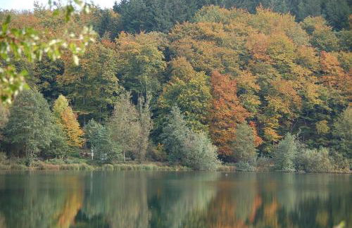 Ferienwohnungen Landgasthaus Janshen - Foto 29