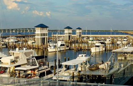 Hotty Toddy - Foto 65