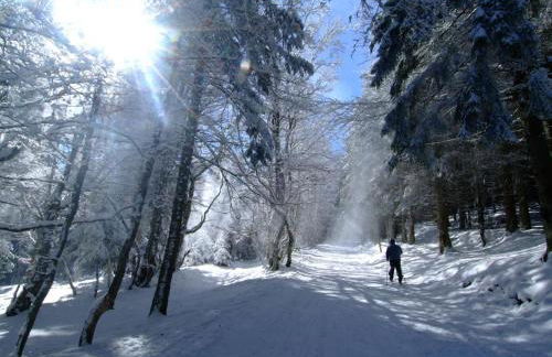 Gîte confortable avec vue imprenable près de Saint-Étienne - FR-1-496-38 - Foto 23