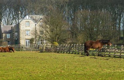 The Manor House - Foto 1