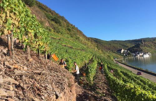 Ferienwohnungen Fuhrmann-Burg - Foto 56