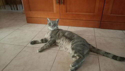 Casa Tranquila en la Marina urbanización - Foto 3