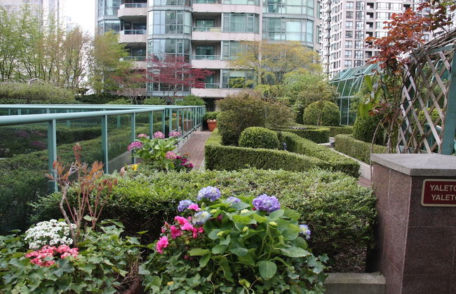 Rosedale Condominiums - Photo 41