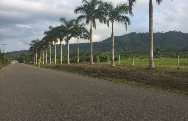 Orchard House - Photo 20