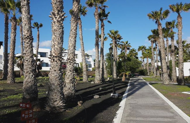 Palmeras Garden - Foto 27