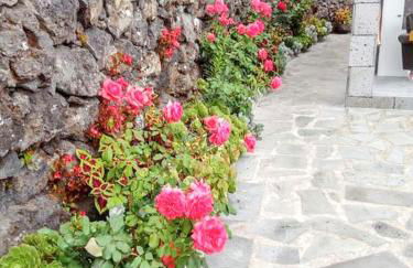 House with sea view in Santo Amaro, 212 sq m, terrace - Photo 30