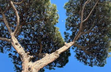 L'antica Pigna Chateau - Foto 9