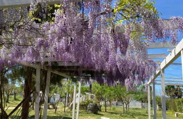 Agriturismo Tenuta la Monaca - Foto 55