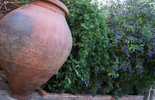 Casa Rural Villa Vieja - Foto 25